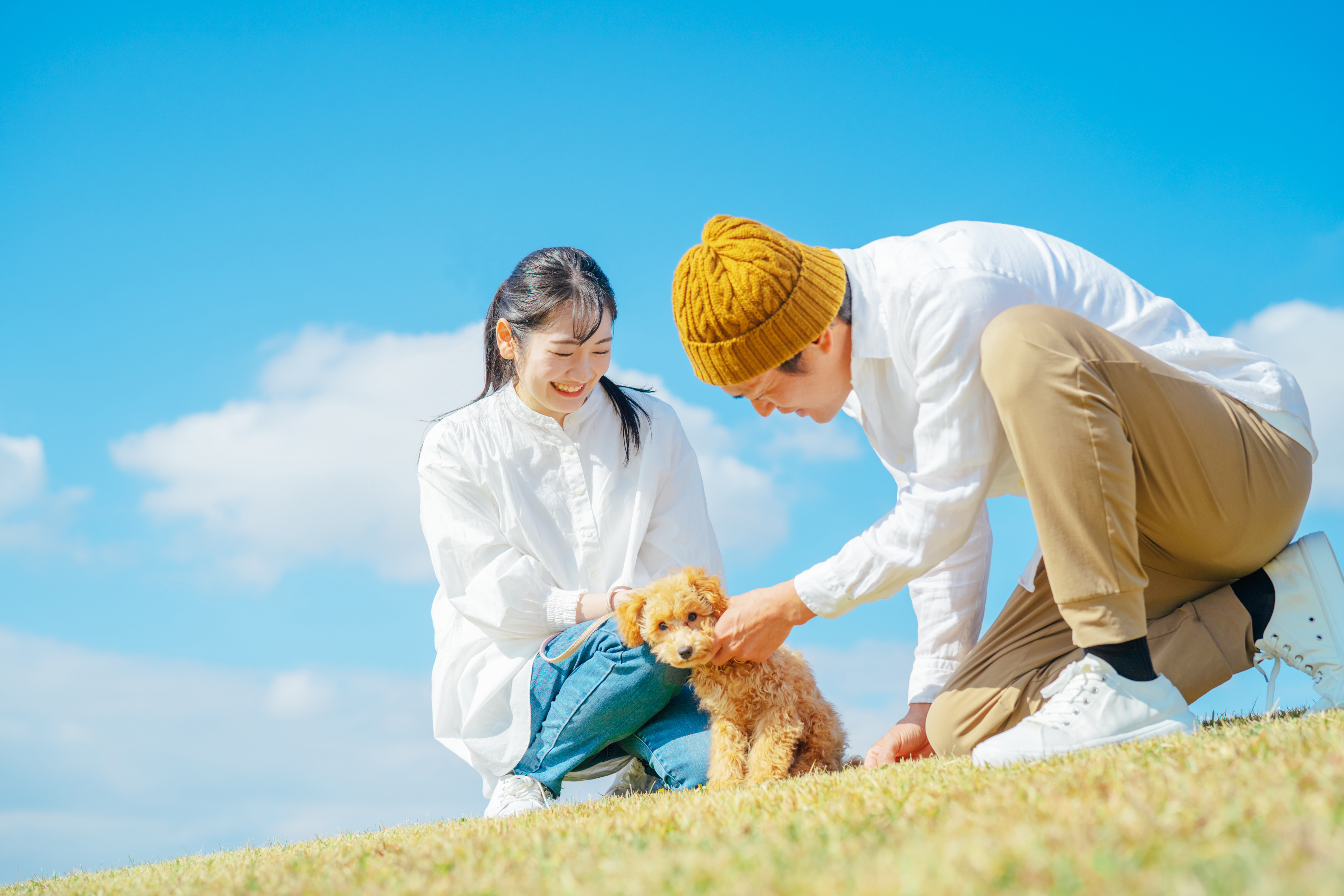 「会員登録数、成婚率、業務No.1」－あなたの理想の幸せをここで実現しよう！