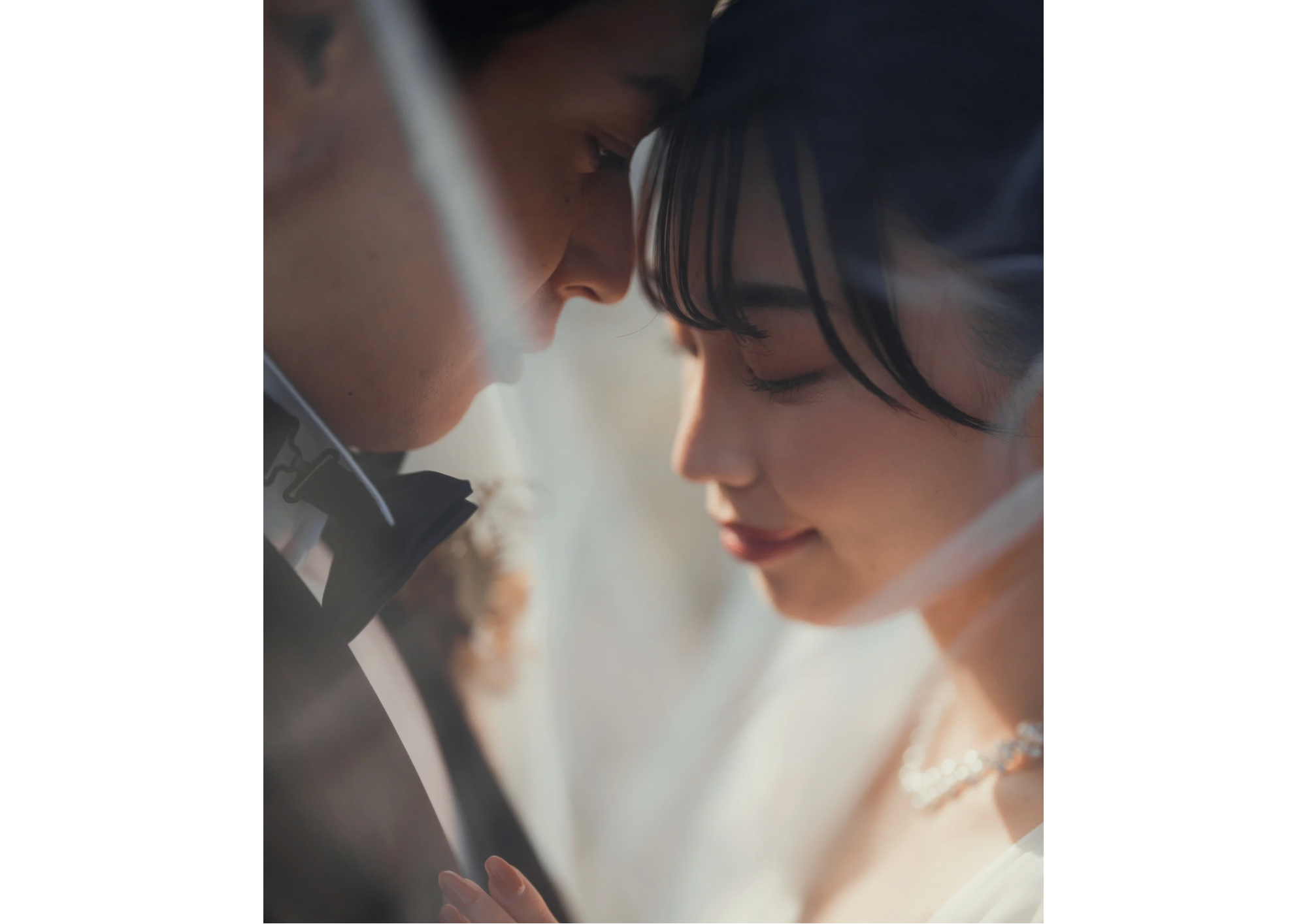 成功の声を紹介